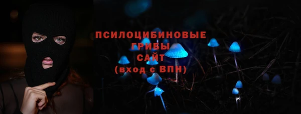 2c-b Осинники
