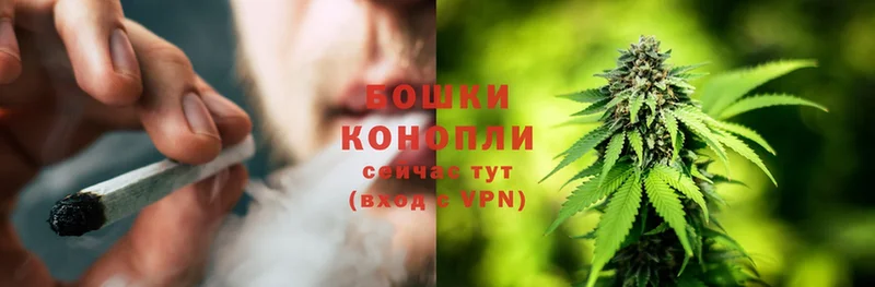 Конопля SATIVA & INDICA  Спасск-Рязанский 